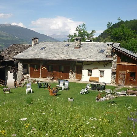 Les Chevreuils Bed & Breakfast Introd Bagian luar foto